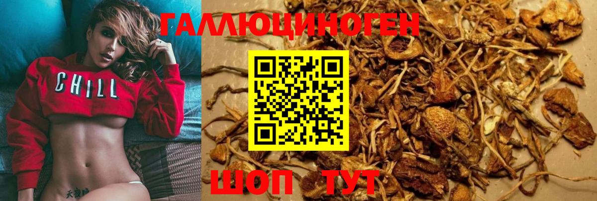 Галлюциногенные грибы Magic Shrooms Скопин